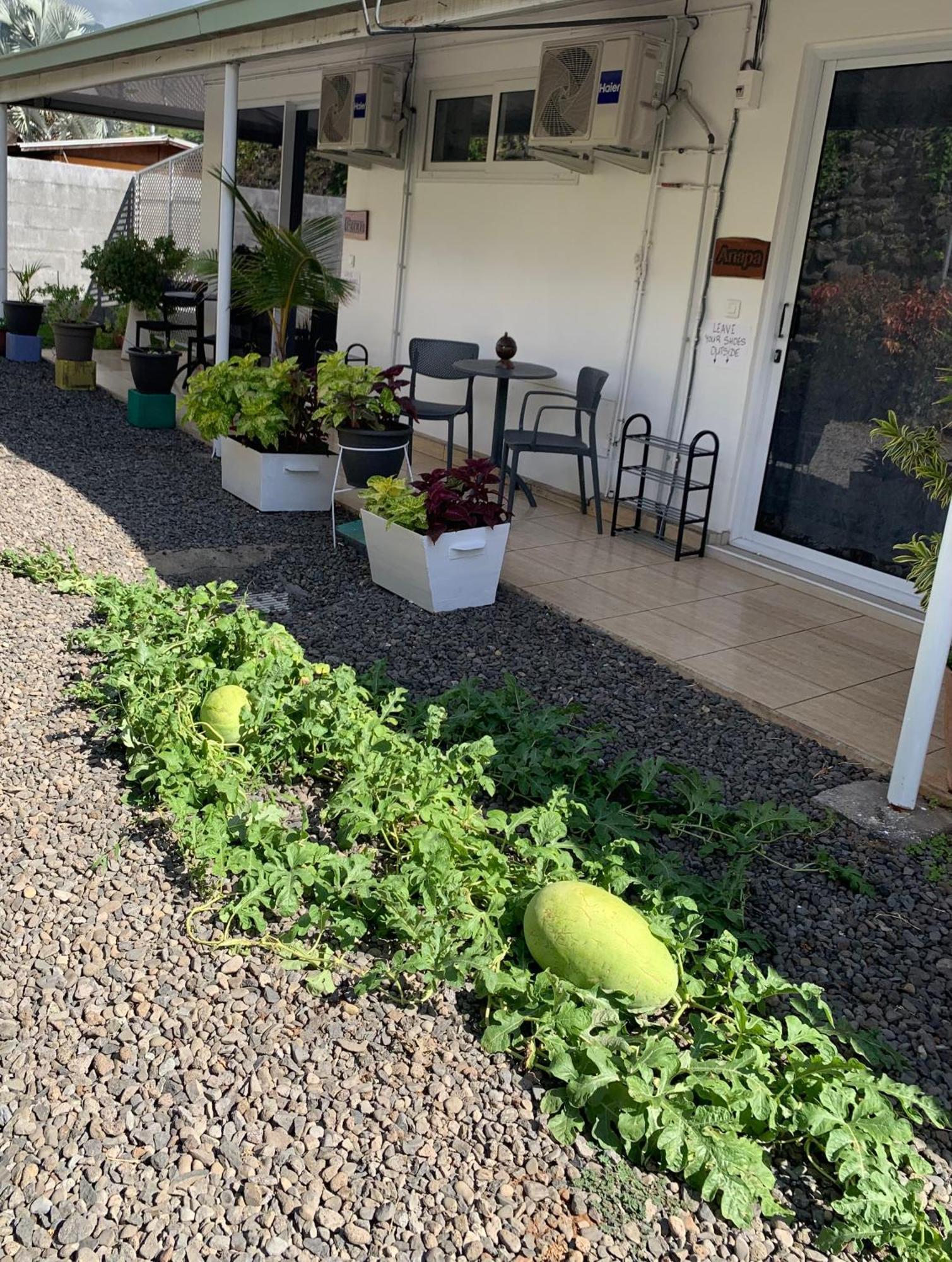 A Tomo Mai Homestay, Close To Airport, Private Bathroom Free Parking And Wifi With High Connection And Breakfast Optional Faaa Dış mekan fotoğraf